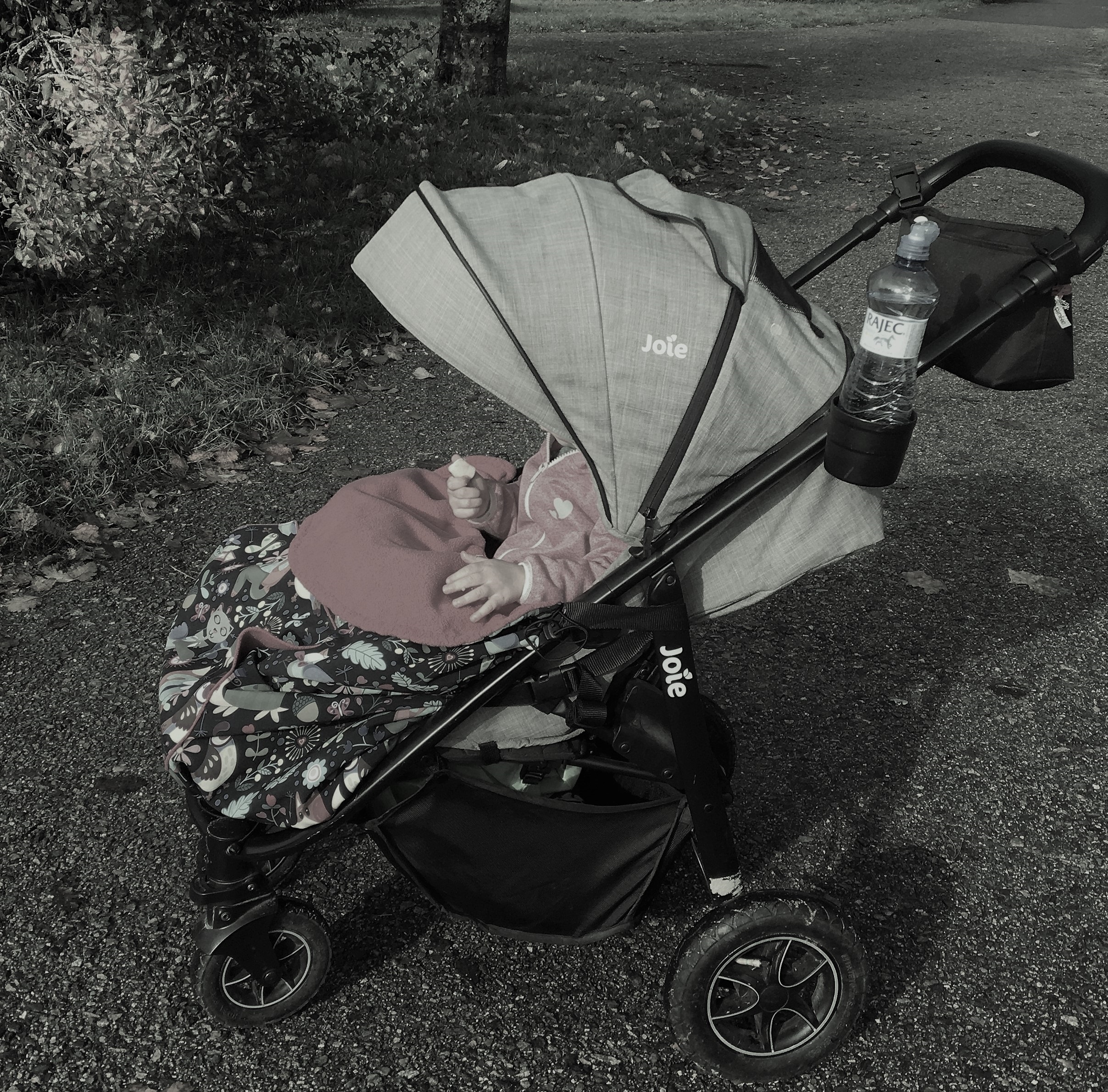 XXL KAPSA celá černá